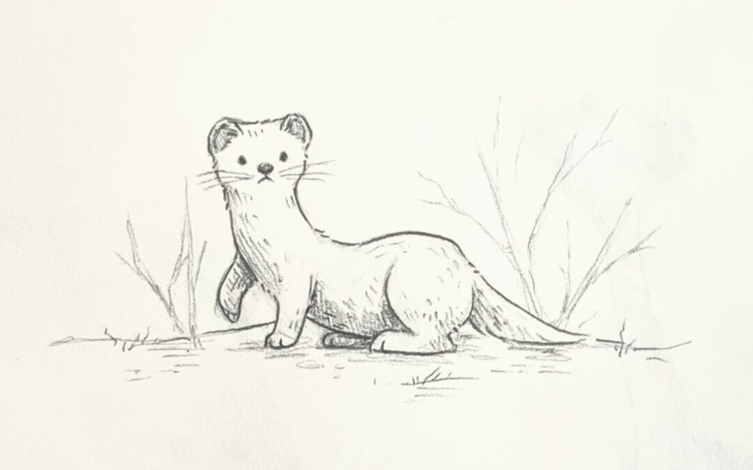 Sunday Sketches Vol. 6