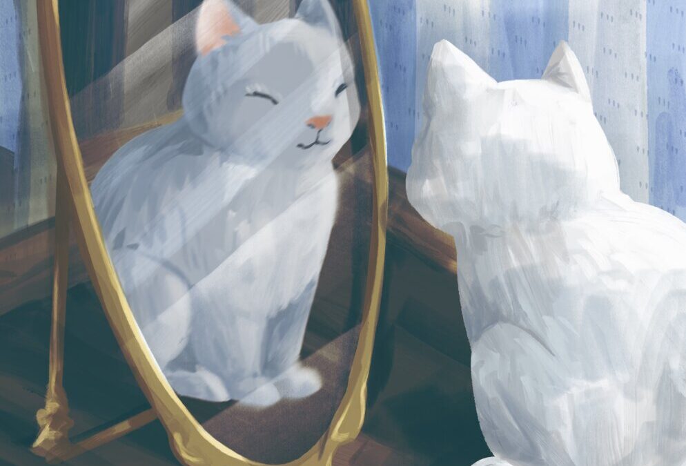 A cat